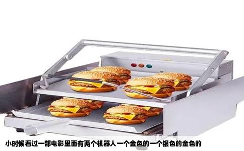 小时候看过一部电影里面有两个机器人一个金色的一个银色的金色的