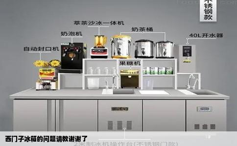 西门子冰箱的问题请教谢谢了