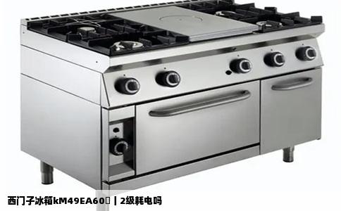 西门子冰箱kM49EA60丅丨2级耗电吗