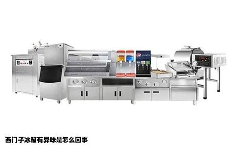 西门子冰箱有异味是怎么回事