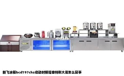 新飞冰箱bcd197chz启动时候噪音特别大是怎么回事