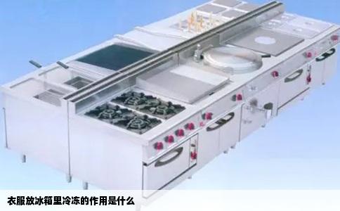衣服放冰箱里冷冻的作用是什么