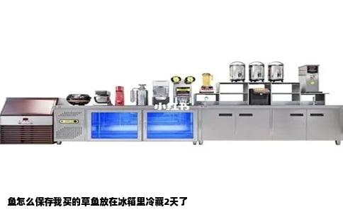 鱼怎么保存我买的草鱼放在冰箱里冷藏2天了