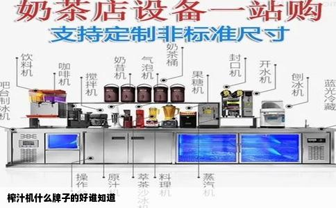 榨汁机什么牌子的好谁知道