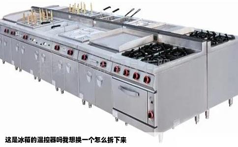 这是冰箱的温控器吗我想换一个怎么拆下来