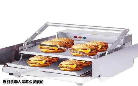 智能机器人是怎么发展的