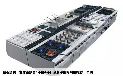 最近想买一台冰箱预算3千到4千什么牌子的好啊给推荐一个呗